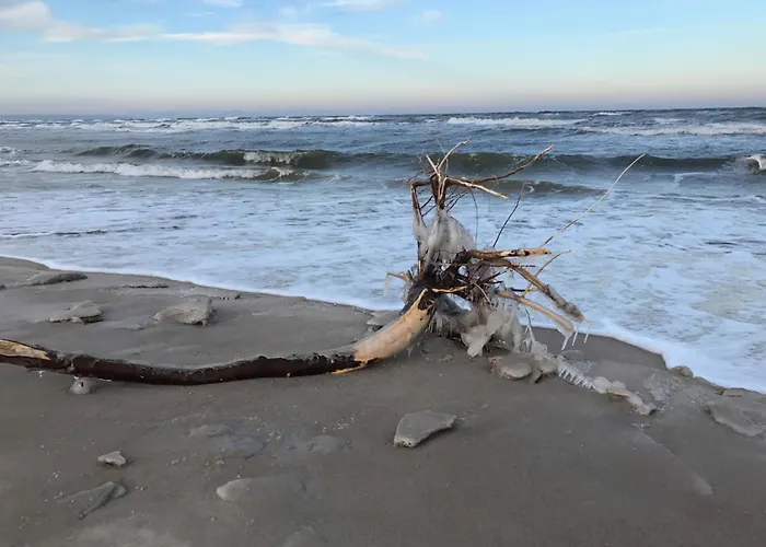بيت للعطل Schatzkiste - بابي